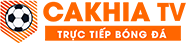 khu rừng đom đóm