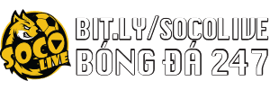 khu rừng đom đóm